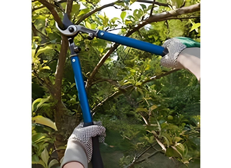 renko tree service 3