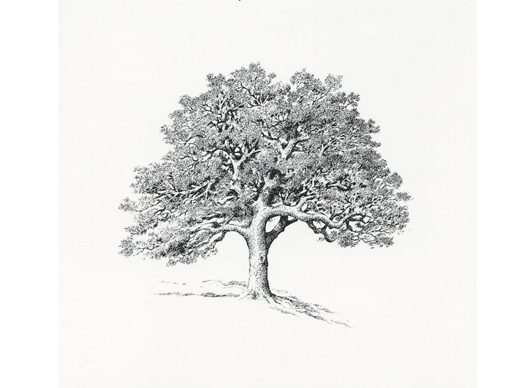 richard. w. veyna associates logo