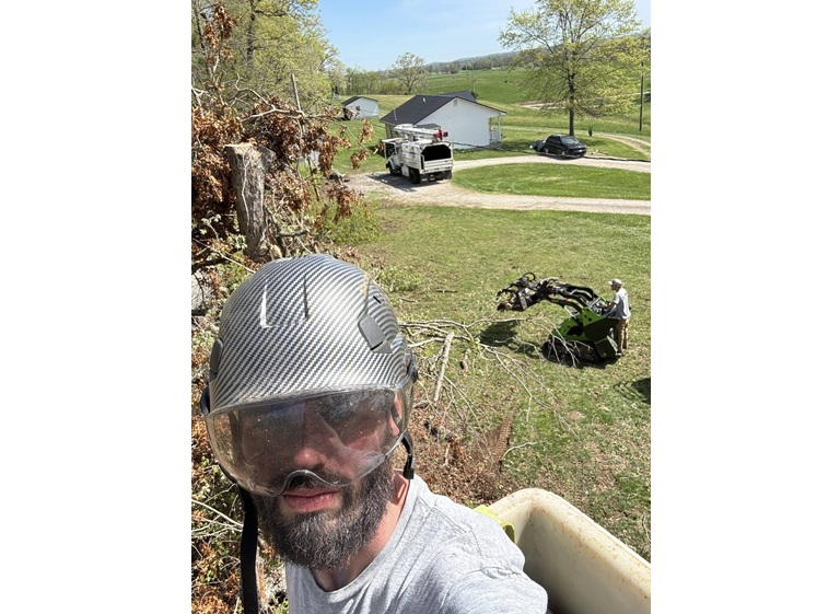 robison tree service 4