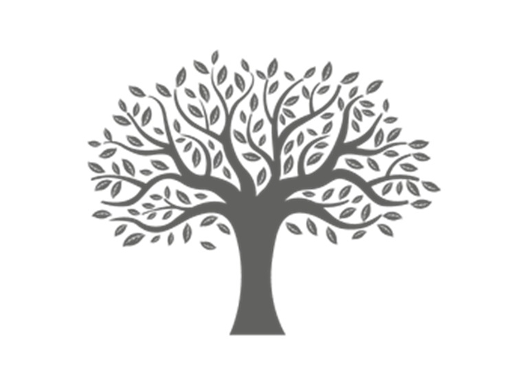 rocky tree care logo