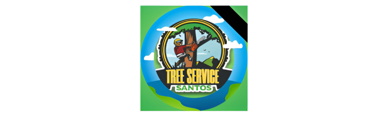 santos logo1 768x237