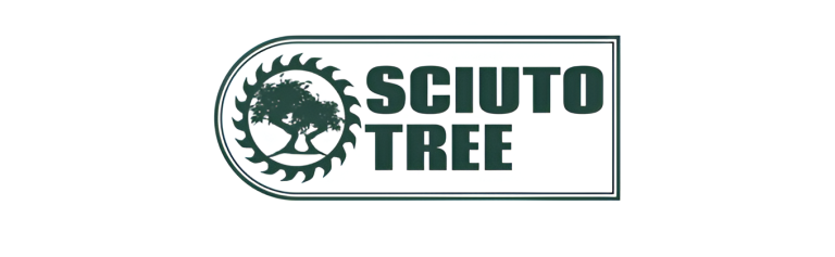 sciuto logo 1 768x237