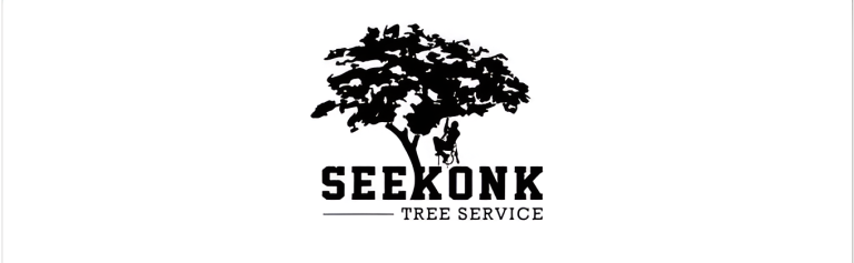 seekonk logo 1 768x237