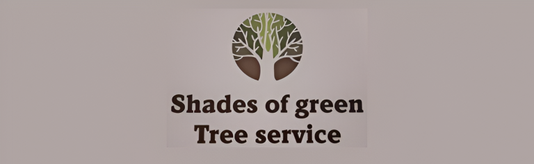 shades logo1 768x237