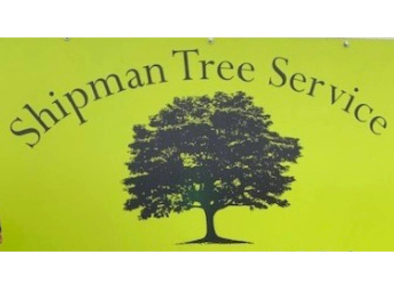 shipman tree service logo