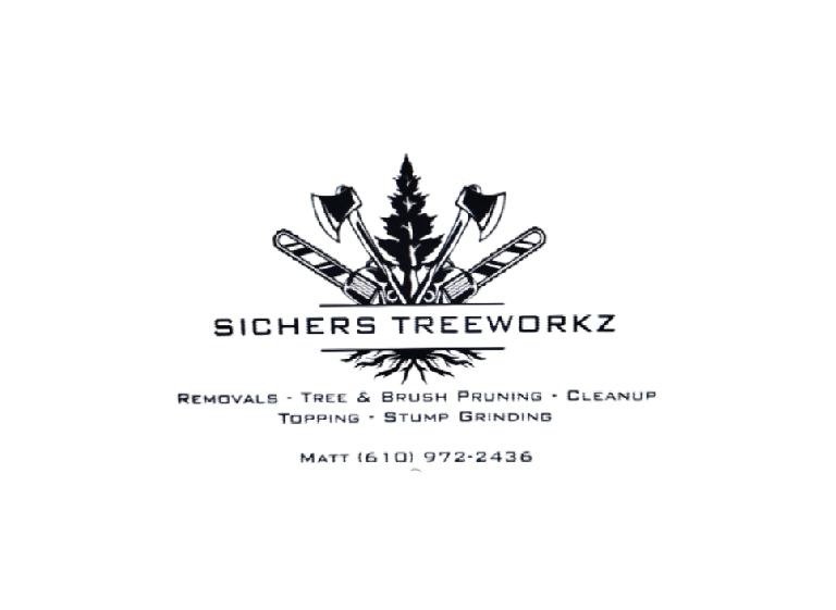 sichers logo