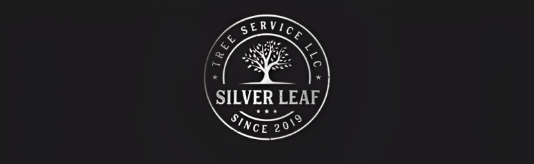 silver logo1 1 768x237
