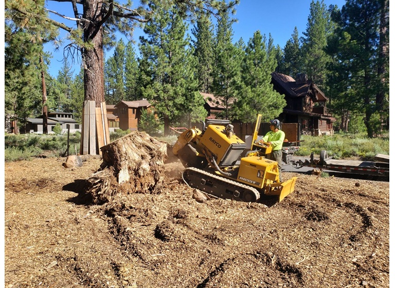 sindt tree service 3