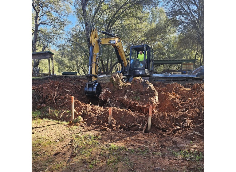 sindt tree service 4