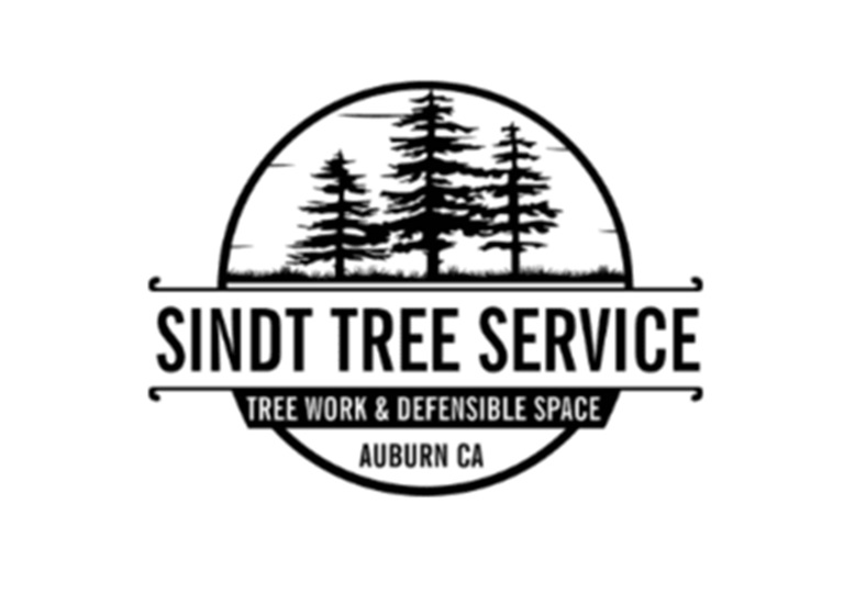 sindt tree service logo
