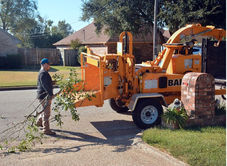 skokie tree removal 2