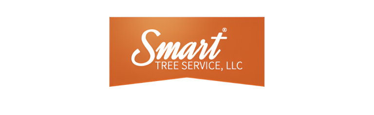 smart logo1 768x237