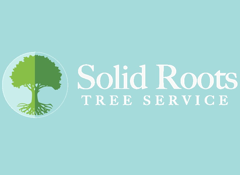 solid roots logo
