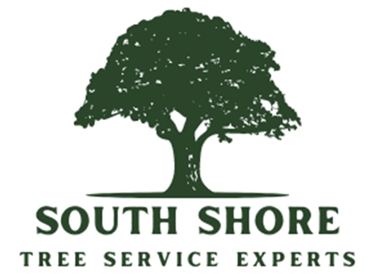 south shore tree service experts logo
