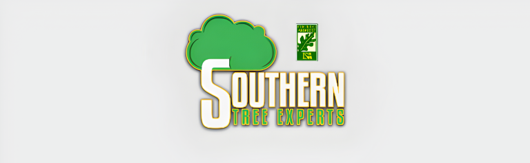 southern 1 1 1 768x237