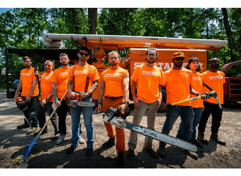 spartan tree and landscape 1