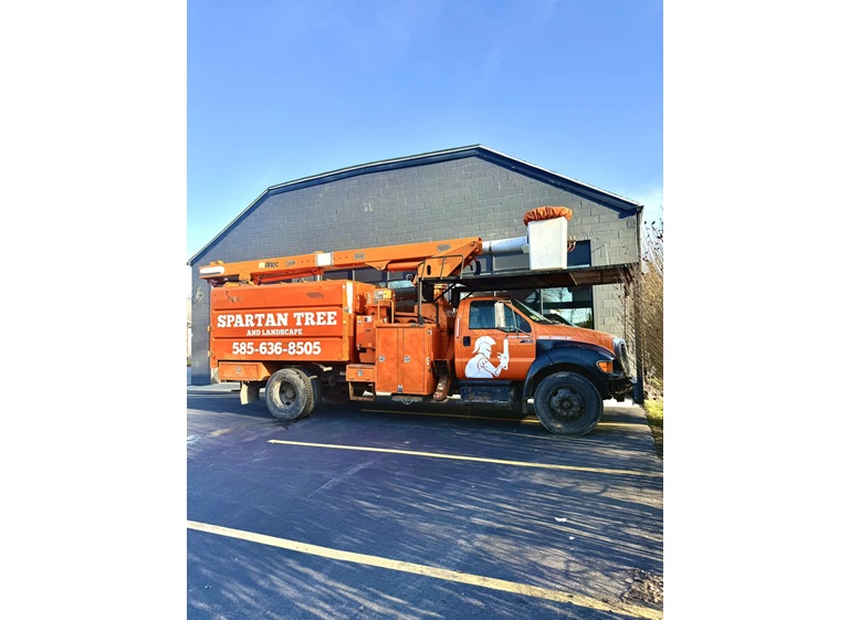 spartan tree and landscape 2