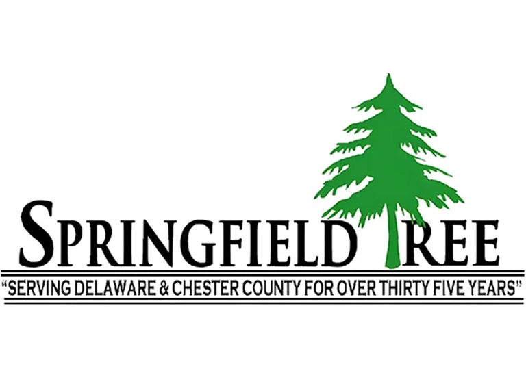 springfield tree logo 1
