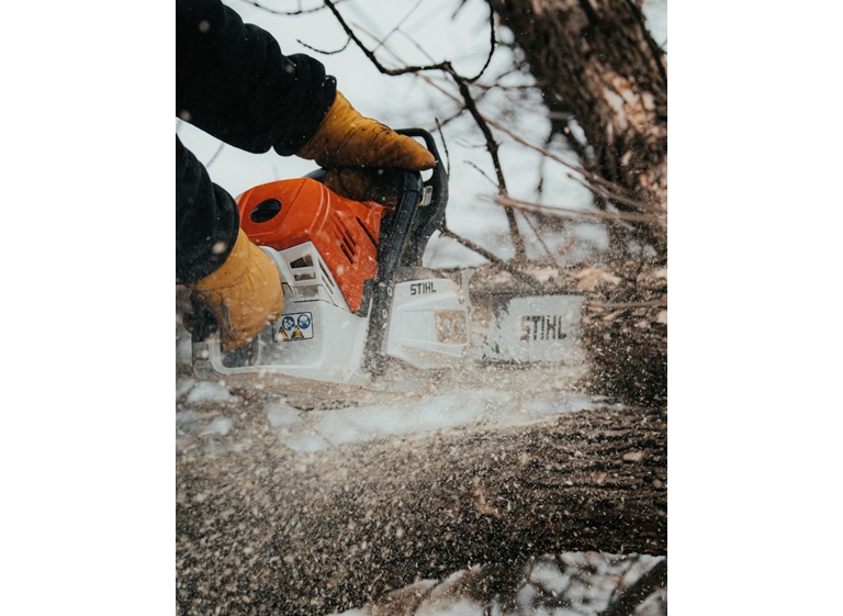 statement tree care 1