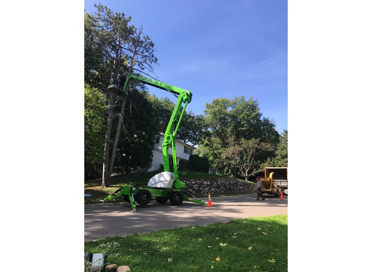 statement tree care 5