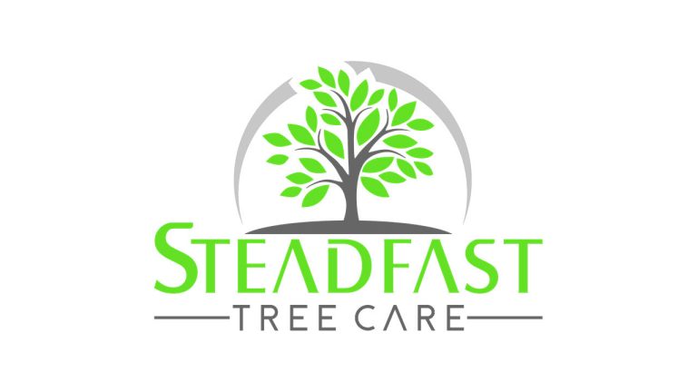 steadfast tree care profile wh bg 1280x720 768x432