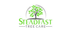 Steadfast Tree Care logo with green tree graphic.