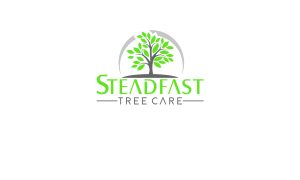 Steadfast Tree Care logo with green tree.