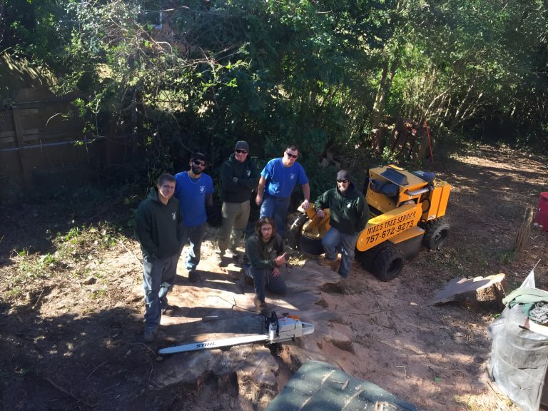 stump grinding 2 scaled 2 768x576