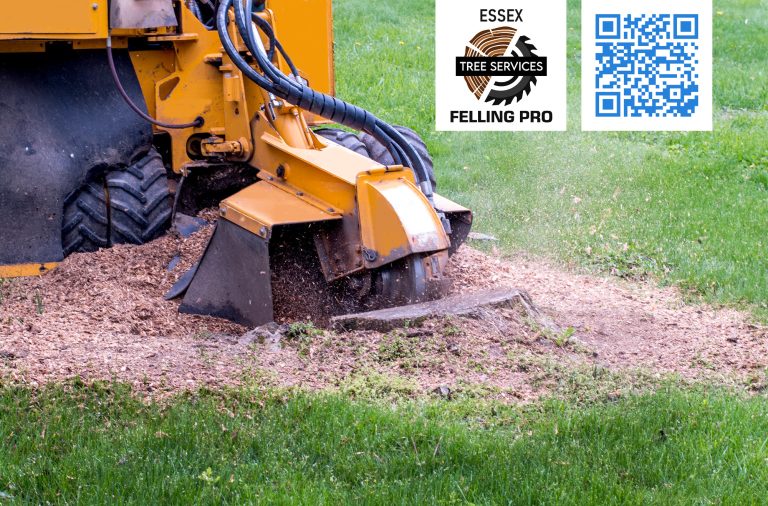 stump grinding 3 768x506