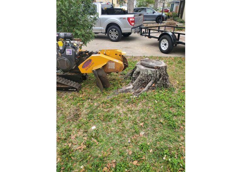 stump professionals llc 2 768x548