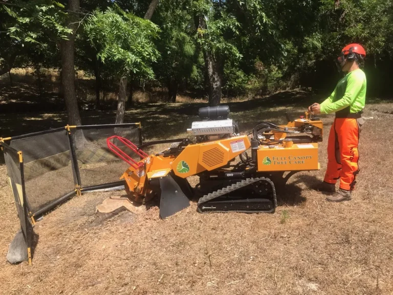 stumpgrindingroundrock 1920w 768x576