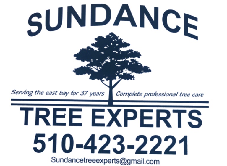 sundance logo