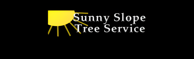 sunny slope logo1 1 768x237