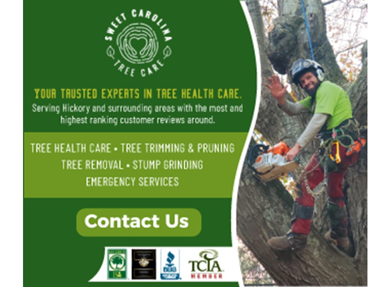 sweet carolina tree care 1