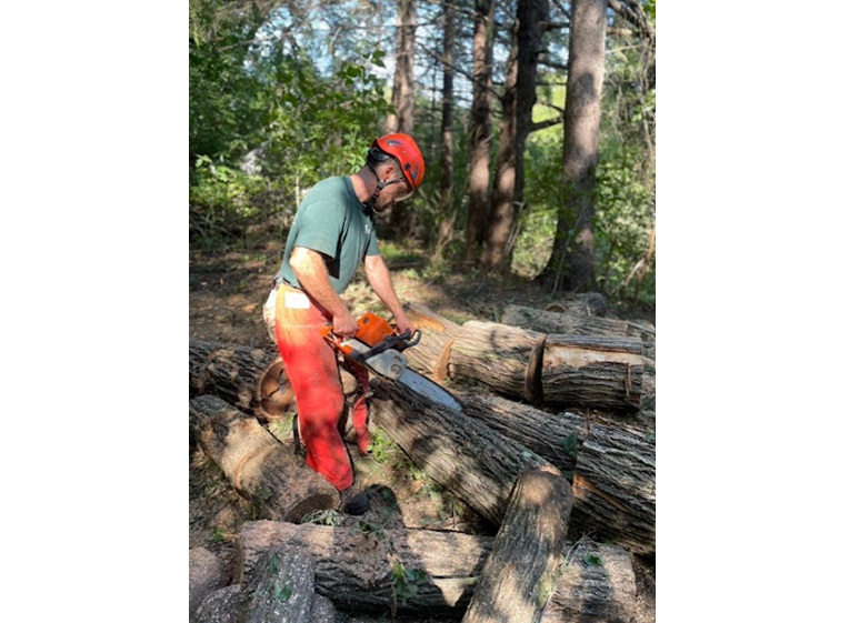 sweet carolina tree care 2