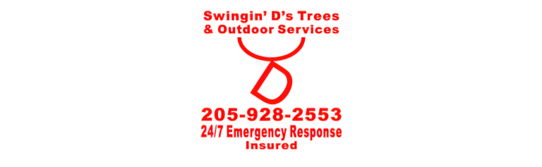 swingin logo1 768x237