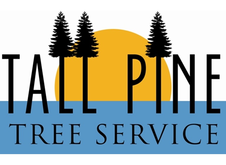 tall pine tree service logo