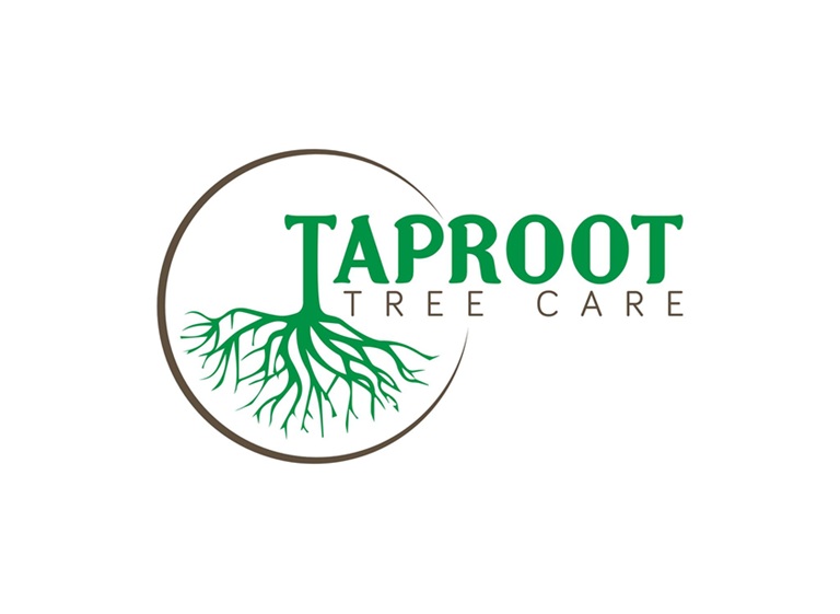 taproot tree care logo