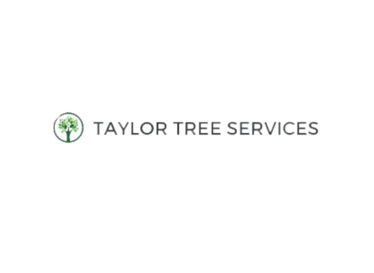 taylor tree services logo