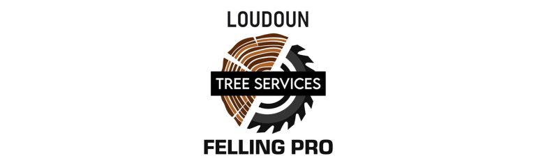 tchq logo wh 768x237