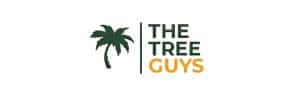 Logo with palm tree and 'The Tree Guys'