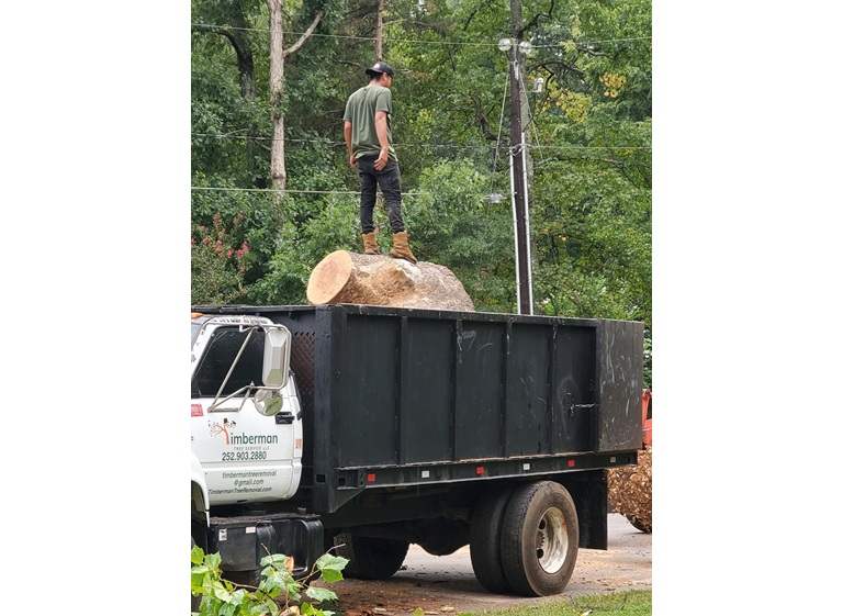 timberman tree service llc 2