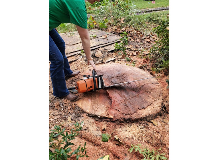 timberman tree service llc 5