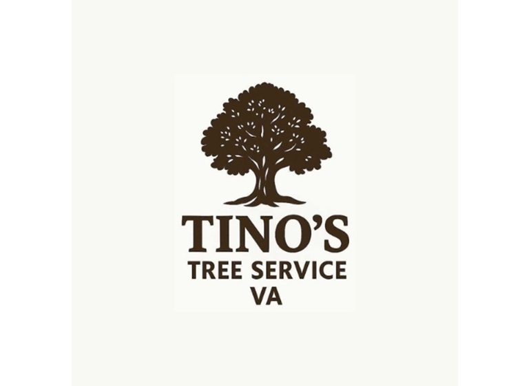 tinos tree service va logo 1
