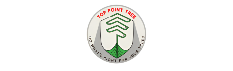 top point logo1 768x237