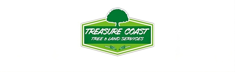 treasure logo1 768x237