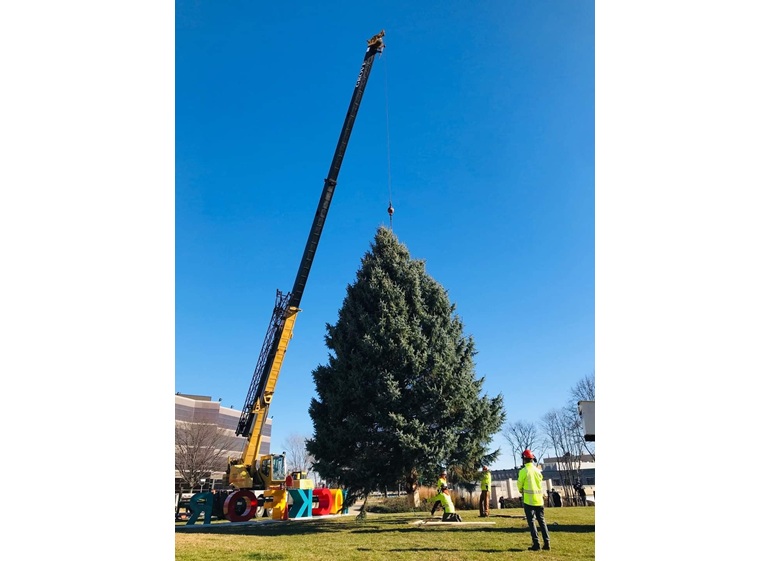 tree care enterprises 1