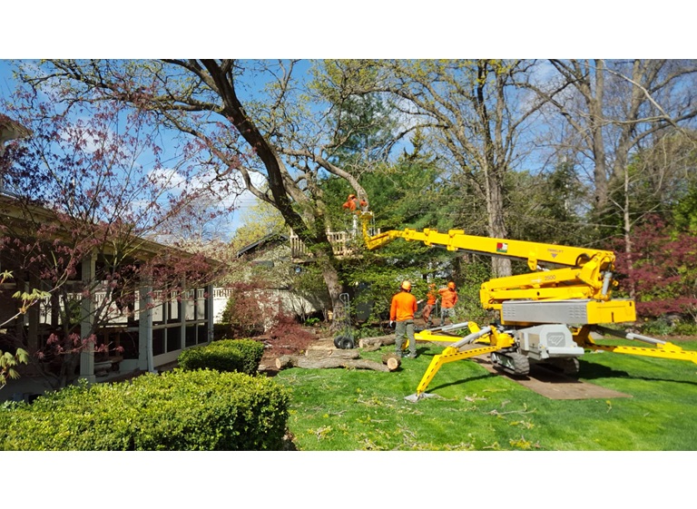 tree care enterprises 4