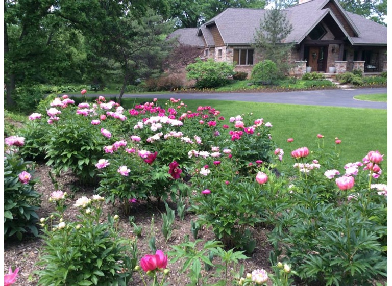 tree care enterprises lake geneva 3