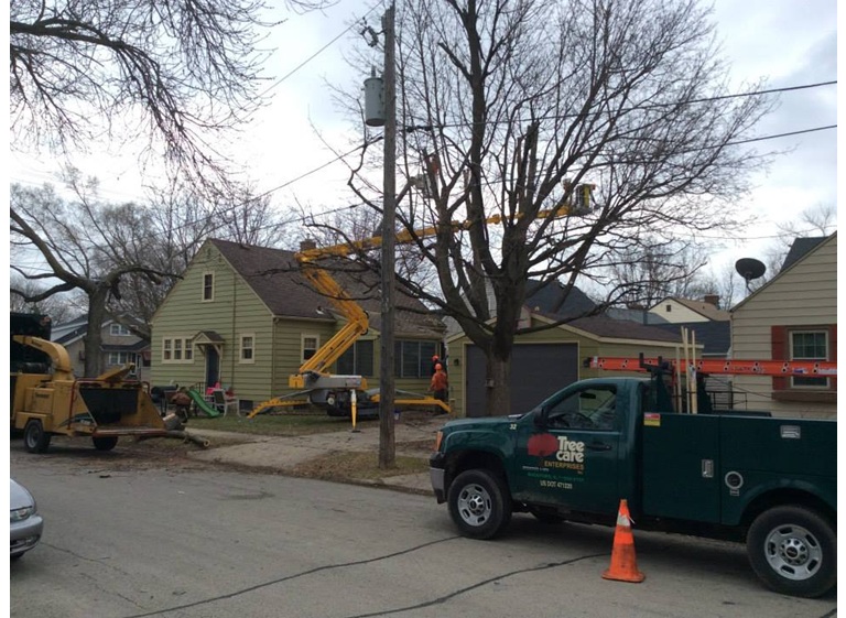 tree care enterprises lake geneva 4